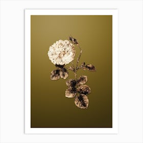 Gold Botanical White Rose of York on Dune Yellow n.2031 Art Print