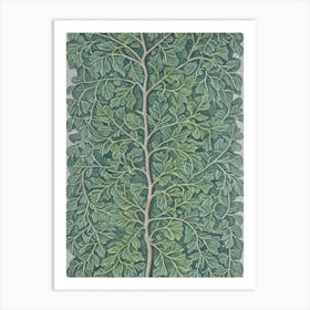 Silver Linden 2 tree Vintage Botanical Art Print