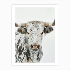 Texas Longhorn Art Print