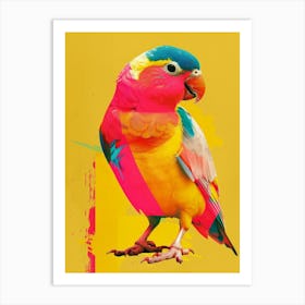 Colorful Parrot Art Print