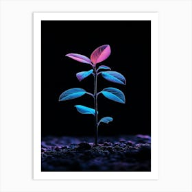 Plant In The Dark 31 Art Print