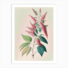 Poison Sumac Vintage Pastel 1 Art Print