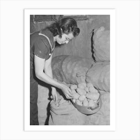 Mrs Lee Wagoner, Wife Of Black Canyon Project Farmer, Gets Homegrown Potatoes From Storeroom, Canyon Art Print