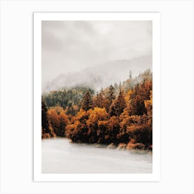 Autumn Forest Along Lake Art Print