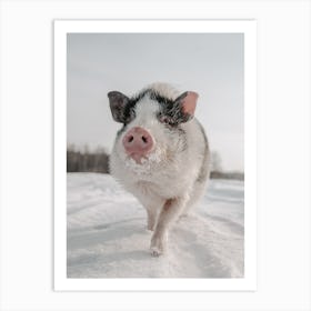 Winter Pig Art Print