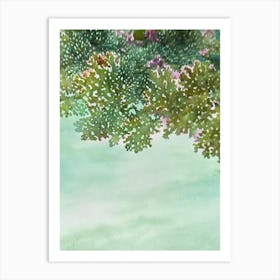 Acropora Latistella Storybook Watercolour Art Print