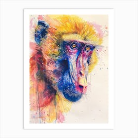 Baboon Colourful Watercolour 4 Art Print