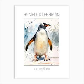 Humboldt Penguin Sea Lion Island Watercolour Painting 2 Poster Art Print