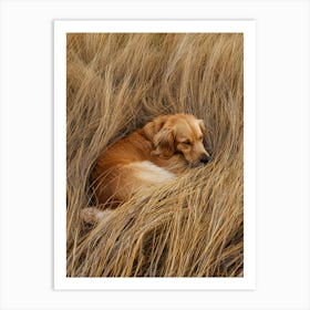 Golden Retriever Sleeping In The Grass.Generated AI. Art Print 1 Art Print