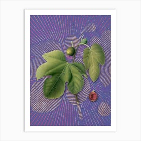 Vintage Briansole Figs Botanical Illustration on Veri Peri n.0776 Art Print