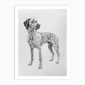 Pointer Dog Black & White Line Sketch 3 Art Print