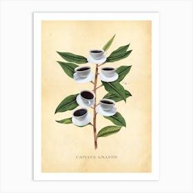 Modern Botanical Coffee Art Print