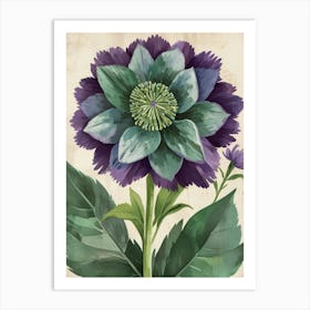 Purple Clematis Art Print