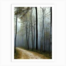 Road In The Woods Art Print