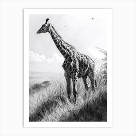 Giraffe In The Grass Pencil Drawing 6 Art Print