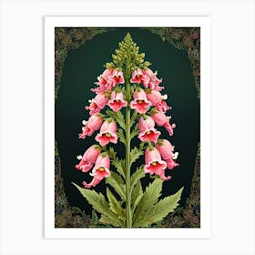 Pink Foxglove Art Print