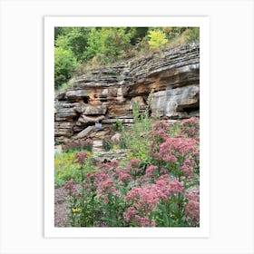 Rock Garden Art Print