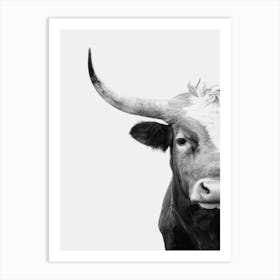 Longhorn 1 Art Print