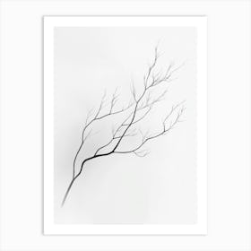 Bare Branches Art Print