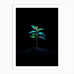 Small Green Plant On Black Background 28 Art Print