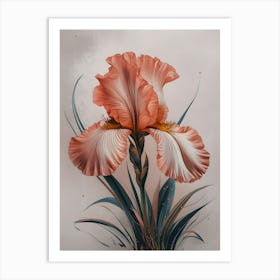 IRIS Art Print