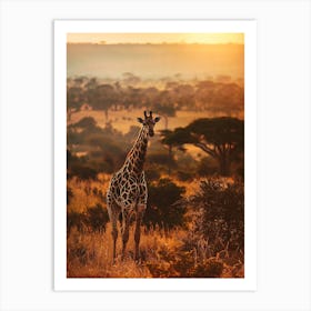 Giraffe At Sunset 2 Art Print