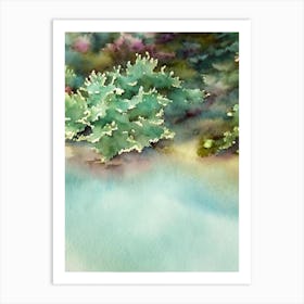 Acropora Gemmifera Ii Storybook Watercolour Art Print