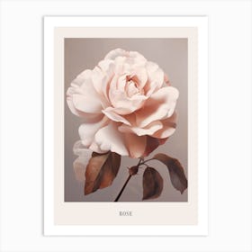 Floral Illustration Rose 1 Poster Art Print