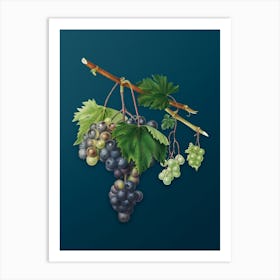 Vintage Grape from Ischia Botanical Art on Teal Blue n.0504 Art Print