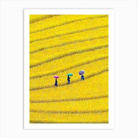 Terraced Fields, Viet Nam Art Print