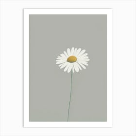 Shasta Daisy Wildflower Simplicity Art Print