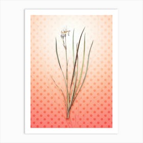 Siberian Iris Vintage Botanical in Peach Fuzz Polka Dot Pattern n.0166 Art Print