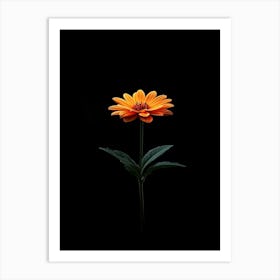 Single Orange Flower On Black Background 8 Art Print