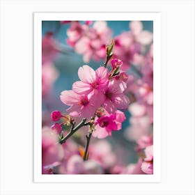 Cherry Blossoms 2 Art Print