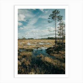 Nature In Swedish Lapland Art Print