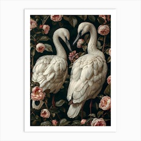 Two Swans Art Print