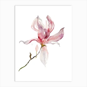 Magnolia 39 Art Print