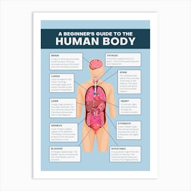 Beginner'S Guide To The Human Body Art Print