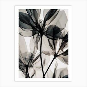 Black White Photograph Flowers 1 Art Print