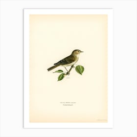 Garden Warbler, The Von Wright Brothers Art Print