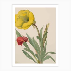 Yellow Tulip Art Print