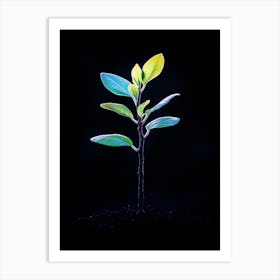 Small Green Plant On Black Background 19 Art Print