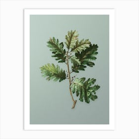 Vintage Hungarian Oak Botanical Art on Mint Green n.0079 Art Print