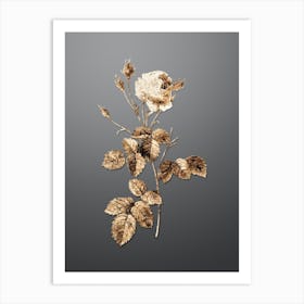 Gold Botanical Provence Rose on Soft Gray n.2510 Art Print