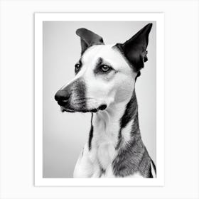 American Foxhound B&W Pencil Dog Art Print