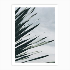 Palm Leaf In The Wind Art Print