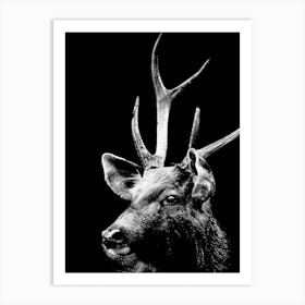 Deer Line Art Art Print