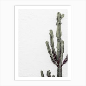 Green Cactus_2251403 Art Print