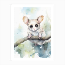 Light Watercolor Painting Of A Sugar Glider 1 Art Print