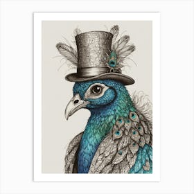 Peacock Canvas Print Art Print